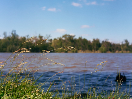 Fishing in Jackson Park, Spring 2010